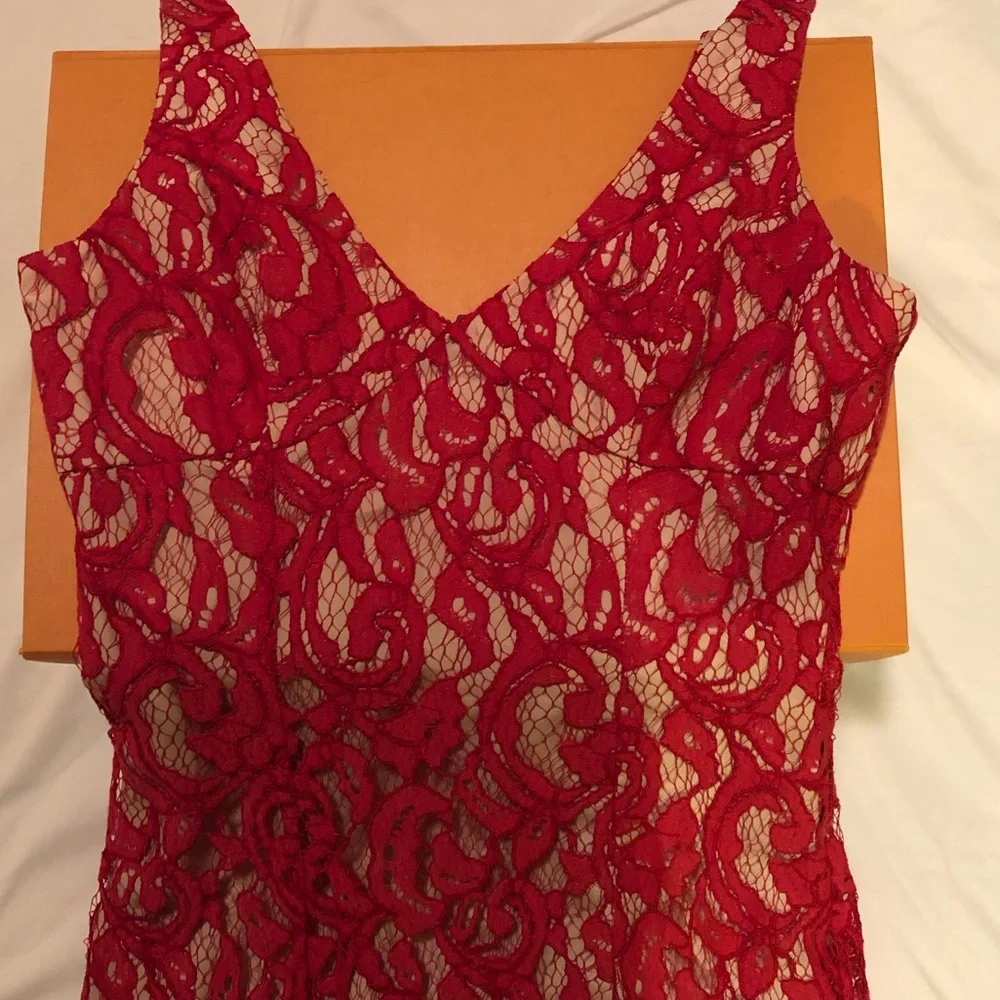 BCBG Lace V-neck Gown - Picture 6 of 6